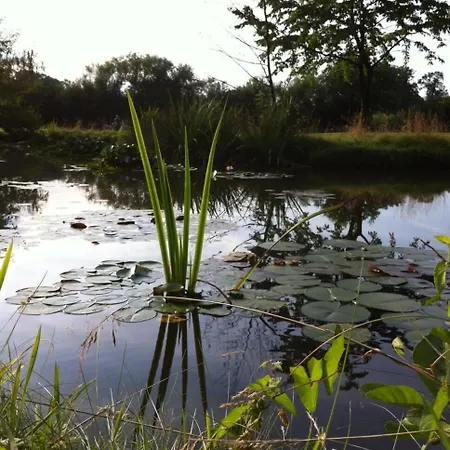Waldseiter Hof Отель