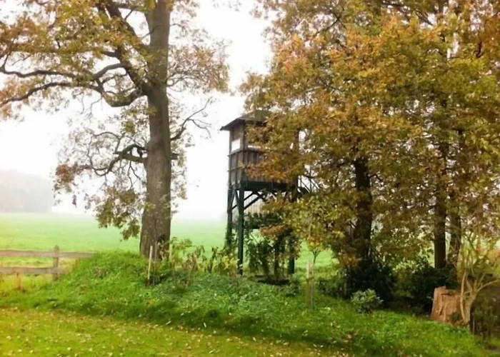 Отель Waldseiter Hof Бад-Бентхайм