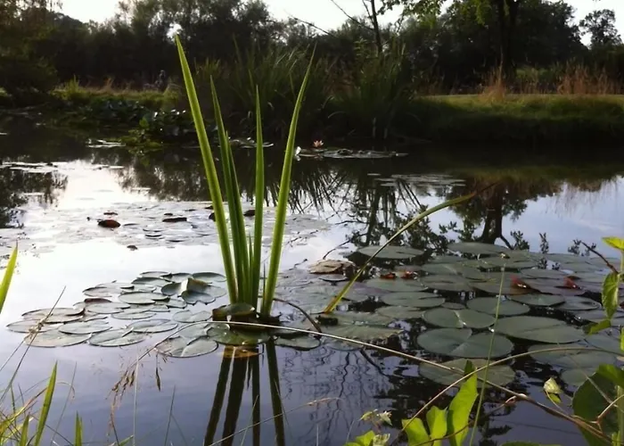 Waldseiter Hof Отель