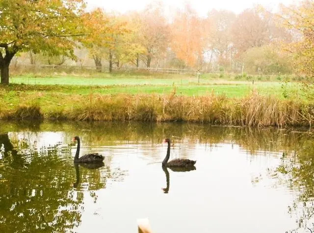 Отель Waldseiter Hof Бад-Бентхайм